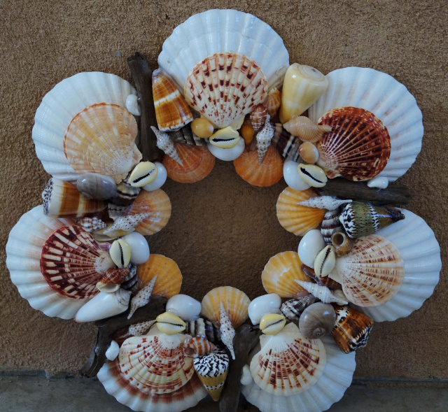 Beautiful Sea Shell Art